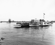 842716 Afbeelding van de veerpont 'Regina Fluminum' van de veerdienst Eck en Wiel-Amerongen over de Nederrijn.